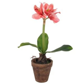 Dekoratiivne lillepottidega lillebonsai kodukaunistamiseks