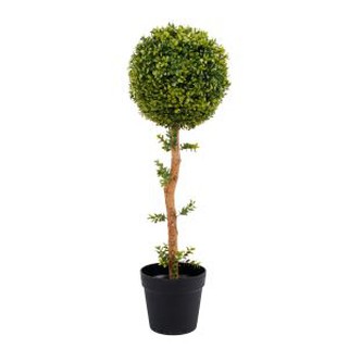 Kunstlik pukspuu rohupalli puittaimed