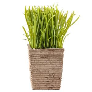 Kunstlikud potitaimed